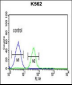 PSMAL Antibody (Center)